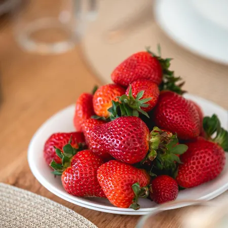 Casa vacanze The Olive & Moon Welcome Polychrono