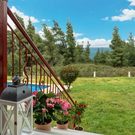 The Olive & Moon Welcome * Polychrono