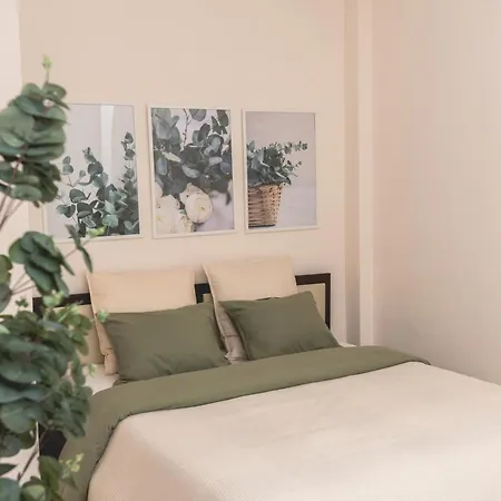 The Olive & Moon Welcome Polychrono