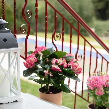 Дом отдыха The Olive & Moon Welcome *